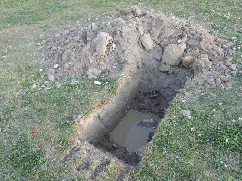 Parque Navia domingo 18/3/2012